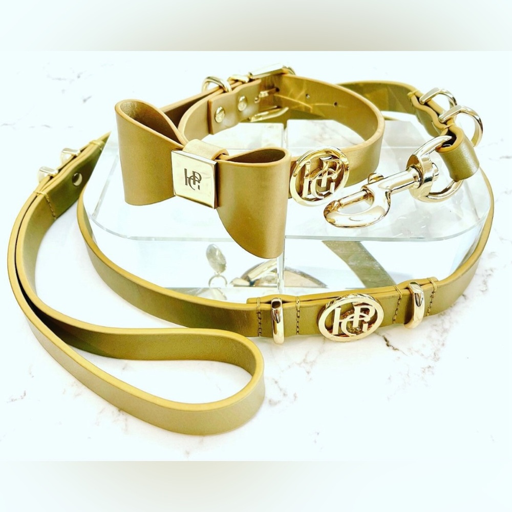 Gold Leather Dog Collar, Gold Hardware and Removable Bow, X-Small